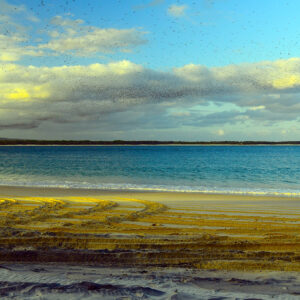 The Road Less Traveled